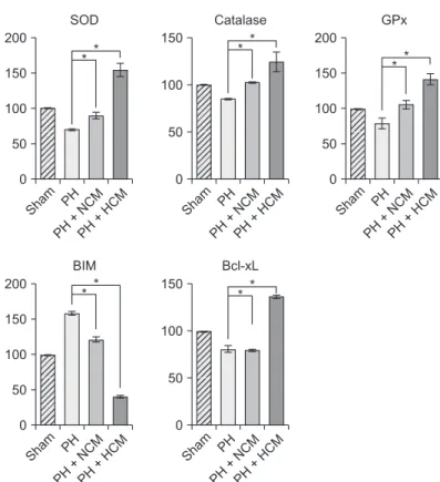 Fig. 3. Western blot analyses showing  in vivo effects of HCM in the liver specimens of 70% partially hepatectomized mice