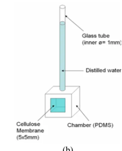 Fig. 1  (a) Gradient  생성  유체  칩의  원리와  모식도. 