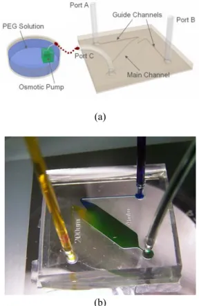 Fig. 3  (a)  제작된  유체  칩의  원리 (O-pump 는  스케일이  과장되었음). (b)  염료를  이용한 