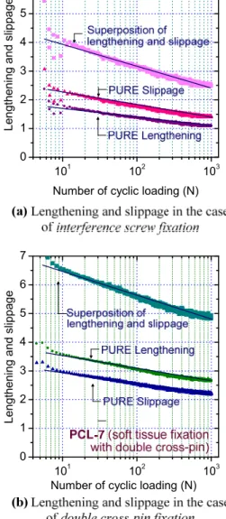 Fig. 5 Superposition of lengthening and slippage of  Achilles tendon and number of cyclic loading  under tension-tension at P max =250N and P min =50N 