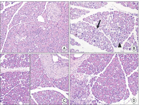Fig. 1. Pancreatic tissues of ex- ex-perimental acute pancreatitis. 