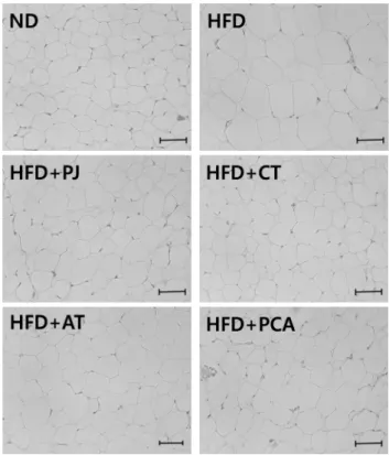 Fig. 1. Epididymal adipocytes surface area of obese rats fed the experimental diets for 9 weeks