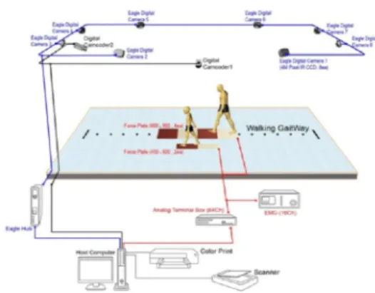 Fig. 1 Schematic diagram of motion nalysis system