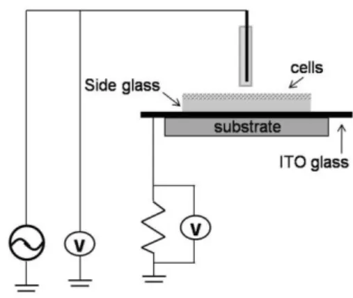 Fig. 1  (a)  The  schematic  of  experimental  setup  for  the  pin-type  plasma  jet  device  and  (b)  a  snapshot  of  the generated Helium plasma jet 