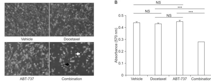Fig. 2. Cytotoxicity evaluation of docetaxel, ABT-737, and combination treatment using MDA-MB-231