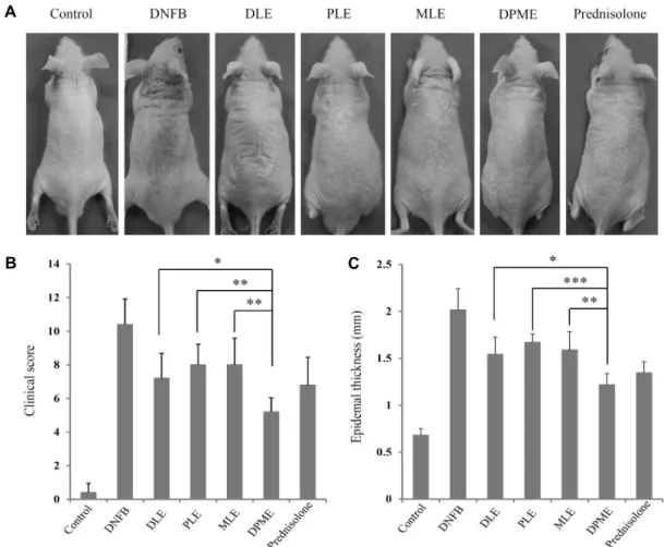 Fig. 2. Effect of DMPE on DNFB-induced AD-like skin lesions. (A) Representative dorsal skin photographs captured at the end  of experiments showing comparison of AD-like skin lesions