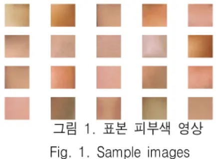 그림  1.  표본  피부색  영상 Fig.  1.  Sample  images