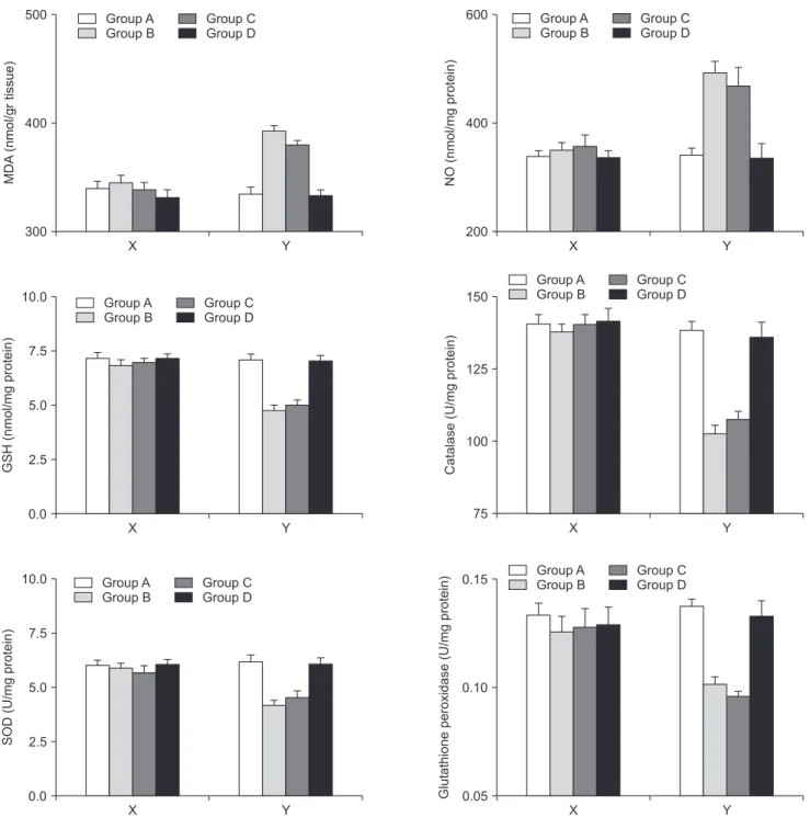 Fig. 2. The alterations in the tissue concentrations of the oxidants and the components of the antioxidant defense system  for the right and left lobes separately