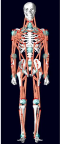 Figure 1. Motion capture