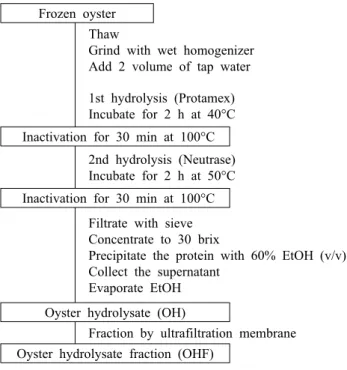 Fig. 1. Preparation of oyster hydrolysate and its fraction.