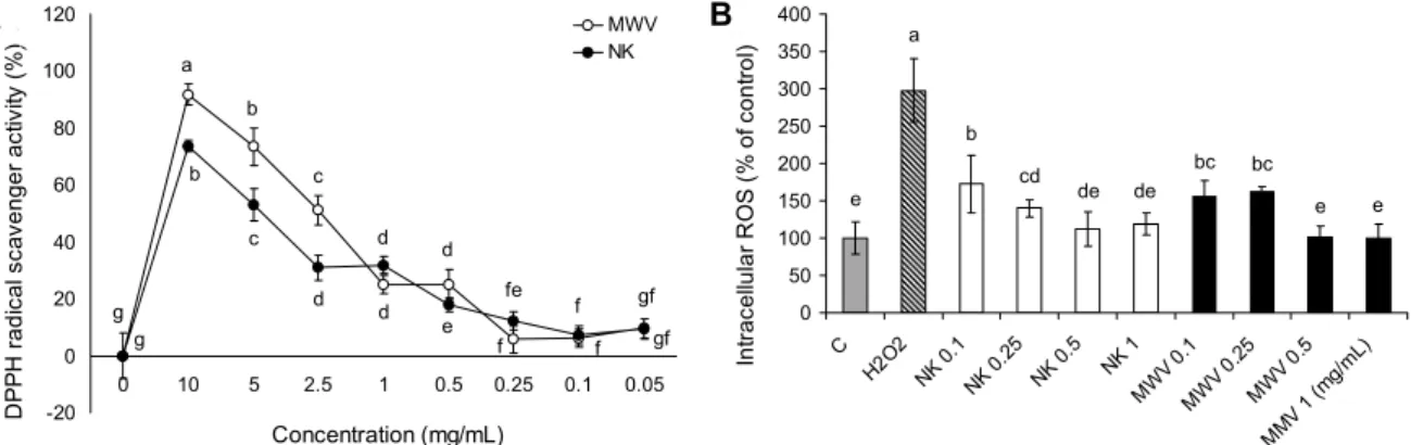 Fig. 3. The effect of MWV after 7 days of fermentation on DPPH radical scavenger activity (A) and intracellular ROS generation  (B) in SK-N-SH cells