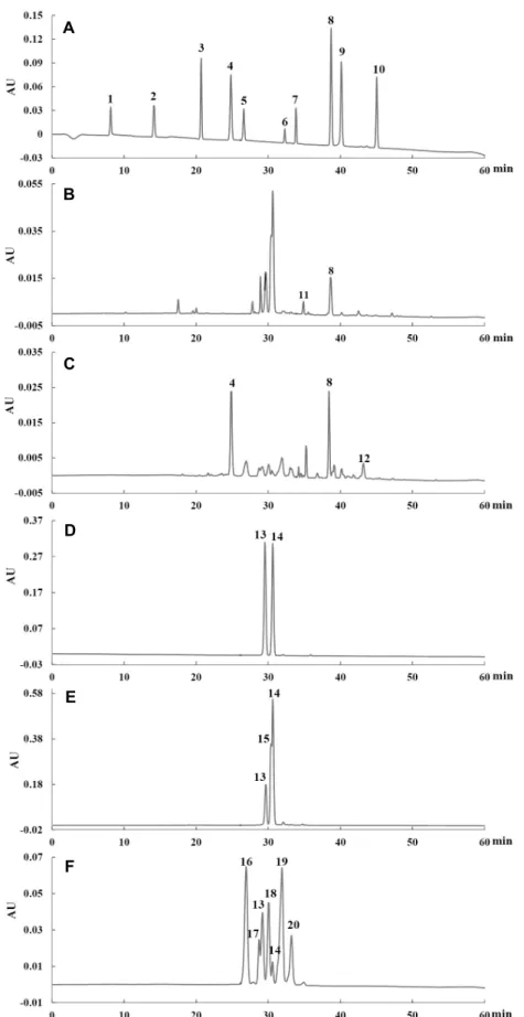Fig. 2. HPLC chromatograms of phenolic compounds (at 254 nm (A) and 520 nm (D)), black raspberry extracts (at 360 nm (B)  and 520 nm (E)) and blueberry extracts (at 360 nm (C) and 520 nm (F))