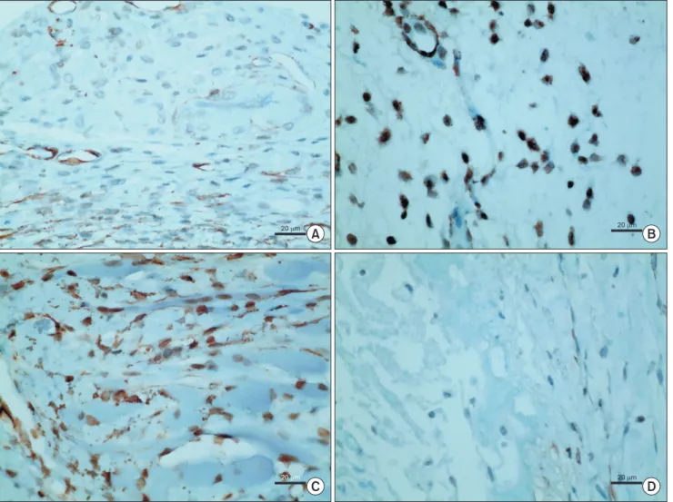 Fig. 5. Smooth muscle cell (SMC) counts in the early postoperative phases (1 and 2 weeks) measured on high­powered fields  (×600) with immunohistochemical staining