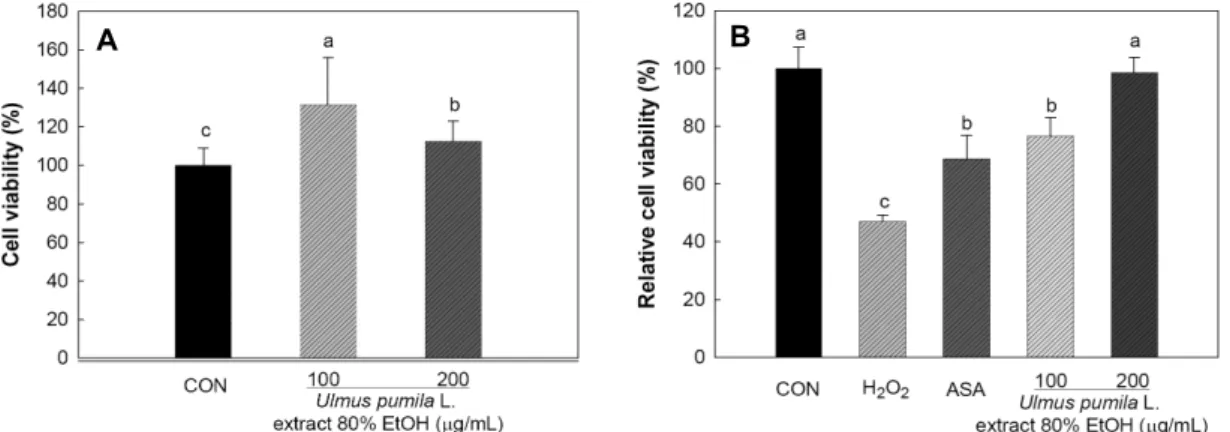 Fig. 2. Effect of U. pumila L. extracts on cell viability (A) and protective effects against oxidative stress-induced damage on human  dermal fibroblast (B)