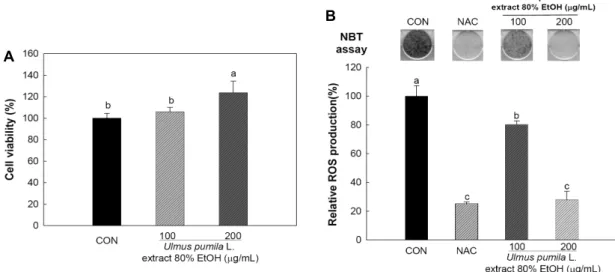 Fig. 3. Effect of U. pumila L. extracts on cell viability (A) and relative reactive oxygen species (ROS) production (B) in 3T3-L1 cells