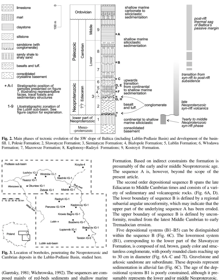 Fig. 2. Main phases of tectonic evolution of the SW slope of Baltica (including Lublin-Podlasie Basin) and development of the basin- basin-fill