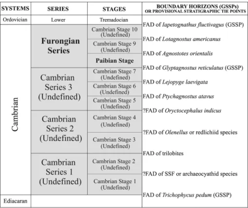 Fig. 1. Chart showing the proposed  subdivision of the Cambrian System. 