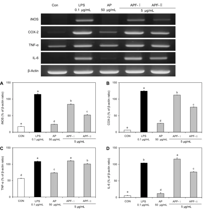 Fig. 5. RT-PCR analysis of iNOS (A), COX-2 (B), TNF-α (C), and IL-6 (D) mRNA expression by RAW 264.7 cell