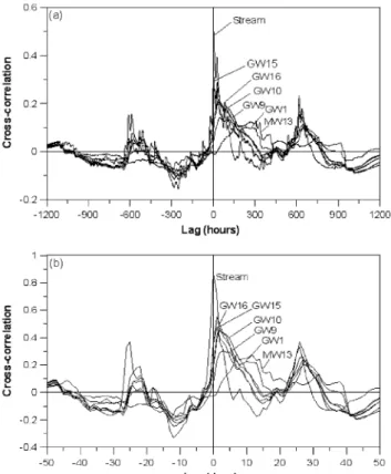 Fig. 8.  Cross-correlation between hourly- and daily-basis water levels and rainfall.