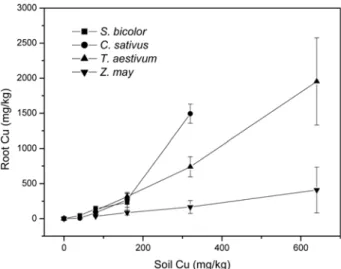 Fig. 2.  Copper accumulation in roots for test plant species after 5 days of incubation in soils containing different concentration of copper