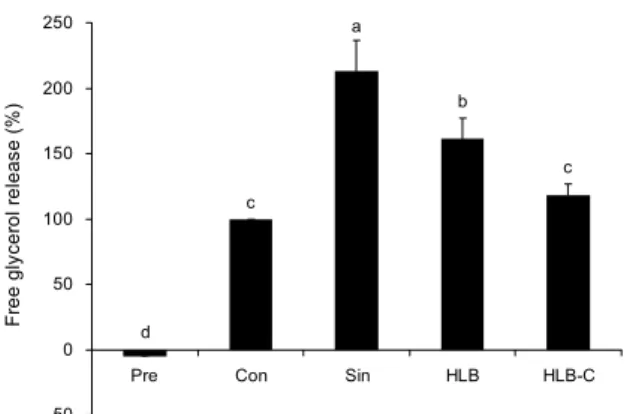 Fig. 5. Effect of HLB and HLB-C on lipolytic activity in 3T3-L1 adipocytes. The differentiated 3T3-L1 adipocytes were cultured in the presence or absence of 0.5 mg/mL of Sinetrol, HLB or HLB-C for 24 hr