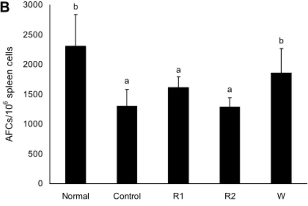 Fig. 4. Antibody forming cells to SRBC in male Balb/c mice  orally administered with 100 mg/kg of R1, R2 or W for 10 days,  respectively