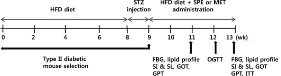 Fig. 1. Schedule for treatment of mice in experiment for 13 weeks.  Type  Ⅱ diabetic mice were divided to 4 groups such as  STD, HFD, HFD+SPE, and HFD+MET