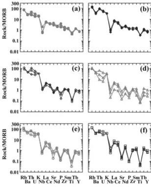 Fig. 9. REE/chondrite-normalized diagram. Symbols are
