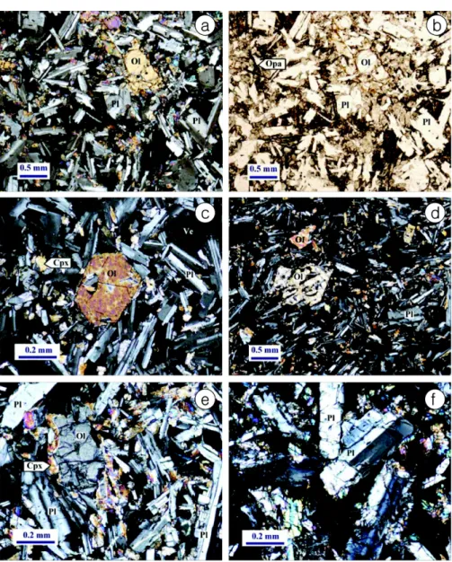 Fig. 3. Photomicrographs of tholleiitic basalt. (a) Tholeiitic texture (sample, 405-16)