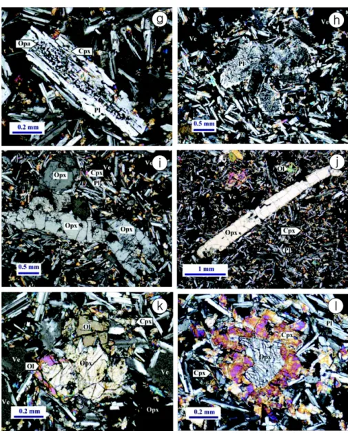 Fig. 3. Continued. (g &amp; h) Sieve texture of plagioclase phenocryst(sample, 405-9 &amp; 405-7)