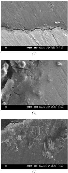 Fig. 2  The EDX analysis in cross section of iron tube            (a) before experiment (b) after experiment  300℃로  나누어  수소  취성  균열에  대한  실험을  수행하였다