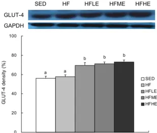 Fig. 1.  Citrate synthase activity in plantaris muscle. SED, seden- seden-tary control group; HF, high fat diet group; HFLE, high fat  di-et+low-intensity exercise group; HFME, high fat  diet+moder-ate-intensity exercise group; HFHE, high fat diet+high-int