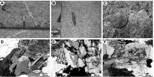 Fig. 2.  Lithological features and polarizing microphotograph showing host rocks of the stone pagoda