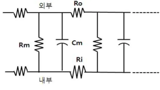 그림  3-2  전기케이블로  표시한  축삭 Fig.  3-2  axon  displayed  as  an  electrical  cable