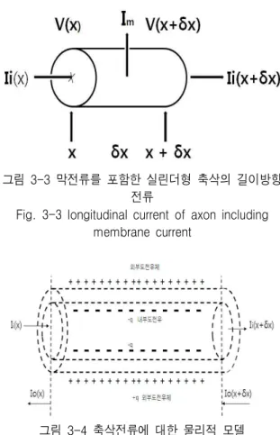 Fig.  3-3  longitudinal  current  of  axon  including  membrane  current