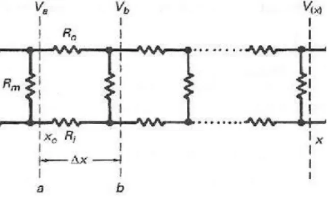 Table  3-1  neuron's  parameters 