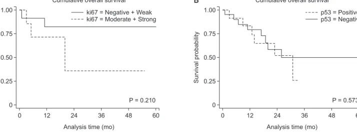 Fig. 3. Cumulative survival rates after surgical resection according to the degree of Ki-67 (A) and p53 expression (B).