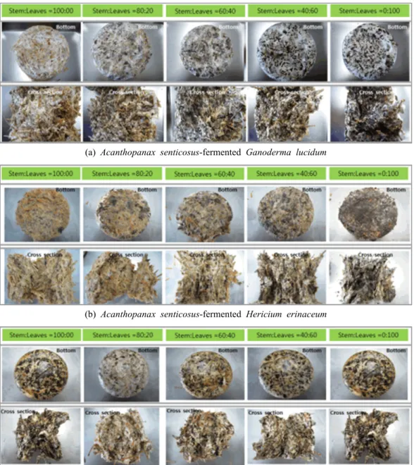 Table 4. Mycelium density by mixing condition in culture pot (∮60 mm, 500 mL)