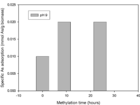 Fig. 6.  As(V) biosorption of activated sludge: Effect of the methylation time at a constant biomass concentration and pH (X=1 g/L, pH 9 and initial As(V) conc