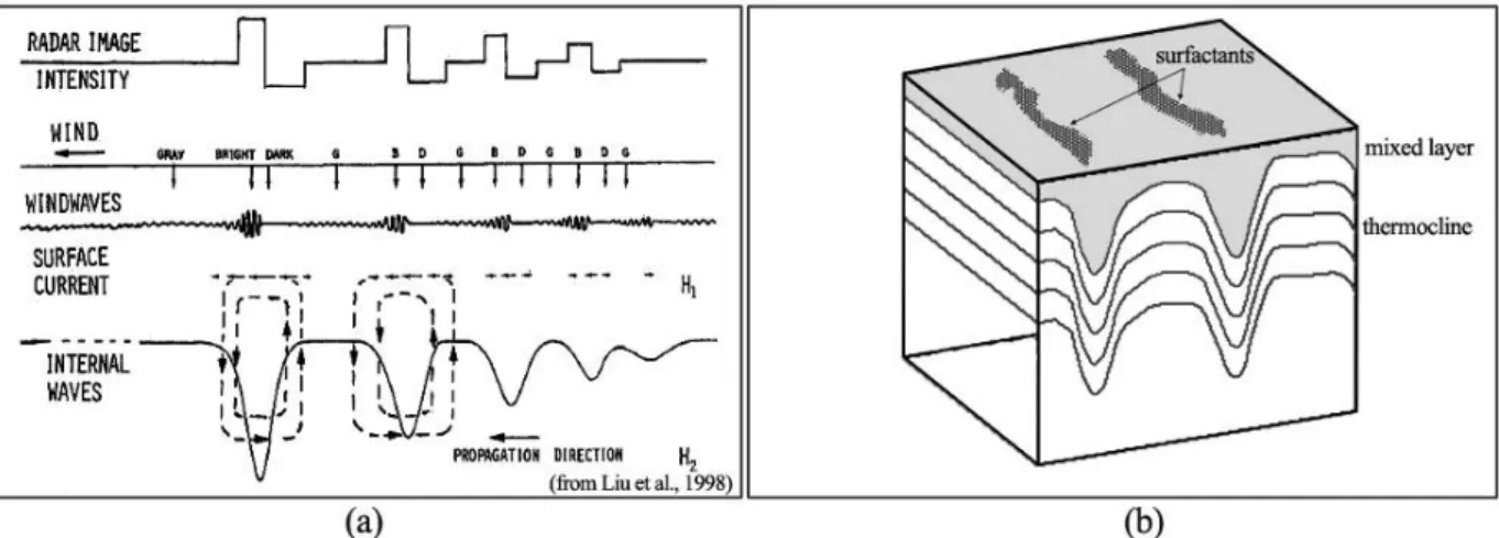 Fig. 2. SAR imaging mechanisms of internal waves. (a) Interaction between surface capillary-gravity waves and horizontally varying surface currents induced by internal solitary wave produce variations in sea surface roughness which can be detected by SAR