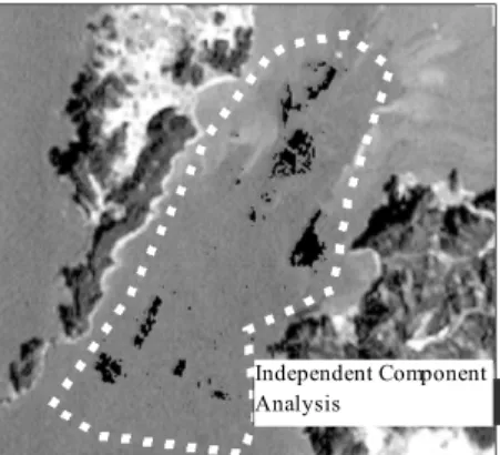 Fig. 6 Laver farm feature extracted by maximum likeli- likeli-hood distribution method (Black color in white  dotted line)