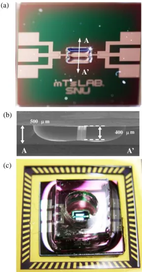 Fig 2. Microfabricated 3-ω device for measuring the  thermal conductivity of nanofluids