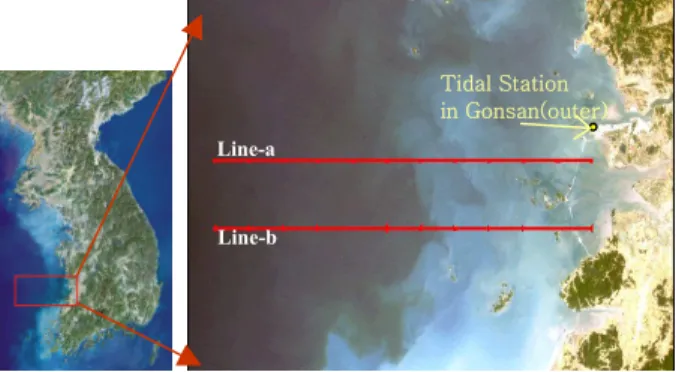 Fig. 1. Study area: color composite image (Red-3; Green-2; Blue-1) of Landsat5 TM (21-05-1999) with two profile lines
