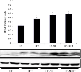 Fig. 6. Changes of hypothalamus leptin receptor mRNA ex- ex-pression after 8 weeks exercise training and/or restricted diet in the groups