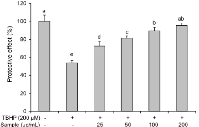 Fig. 1. Cytotoxicity of hot water extract from Cornus walteri Wanger (CWE) in HepG2 cells