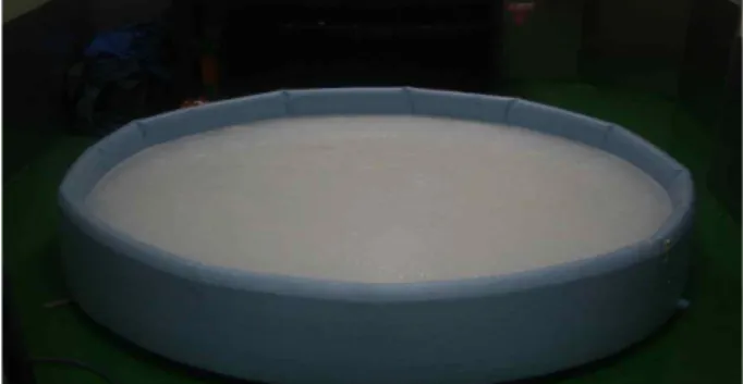 Fig.  2.  Position  of  quadrant  and  platform  in  the  water  tank.