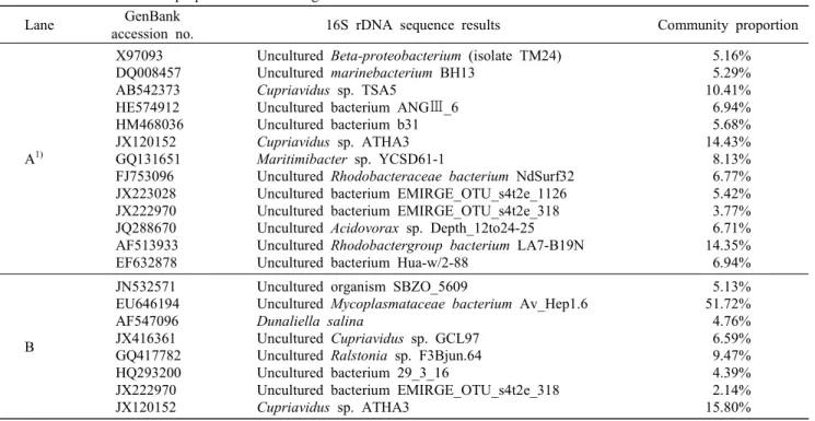 Table  6.  Identification  and  proportion  of  microorganisms  in  flower  of  salt  and  solar  salt
