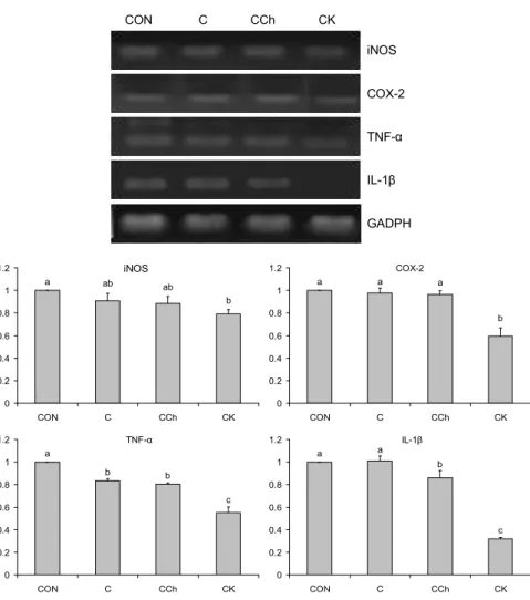Fig. 2. Effects of cabbage and cabbage- cabbage-mixed juices (2 mg/mL) on mRNA  ex-pressions of iNOS, COX-2, TNF-α and IL-1β in AGS human gastric cancer cells.