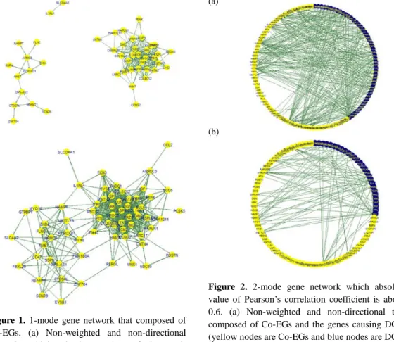 Figure 2.  2-mode gene network which absolute  value of Pearson’s correlation coefficient is above  0.6