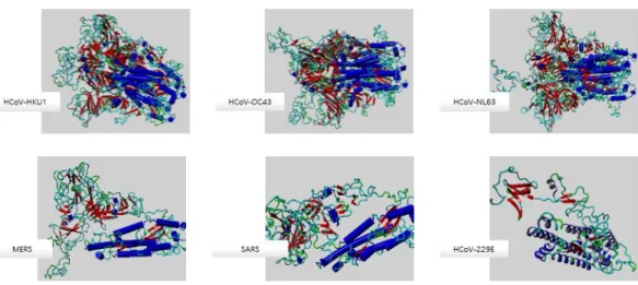 Figure  1.  Structural  analysis  of  six  coronaviral  spike  (S)  proteins.  Structural  models  of  S  proteins  were  predicted based on amino acid sequences using SWISS-MODEL.